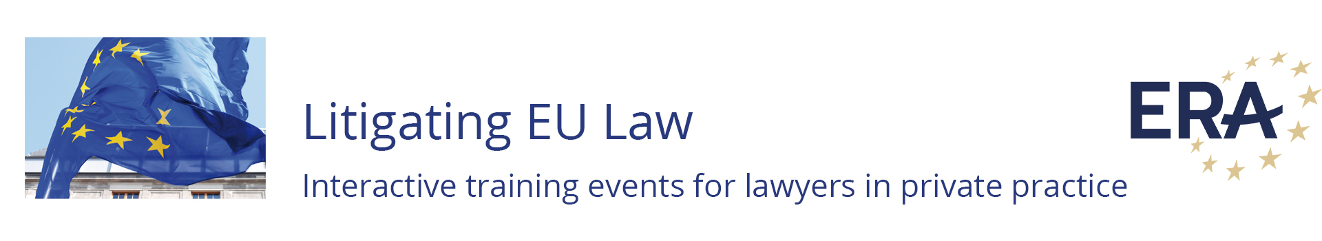 Litigating EU Law 